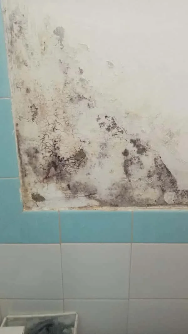 Damp wall caused by leaking galvanised pipe before pipe replacement in Bordeaux.