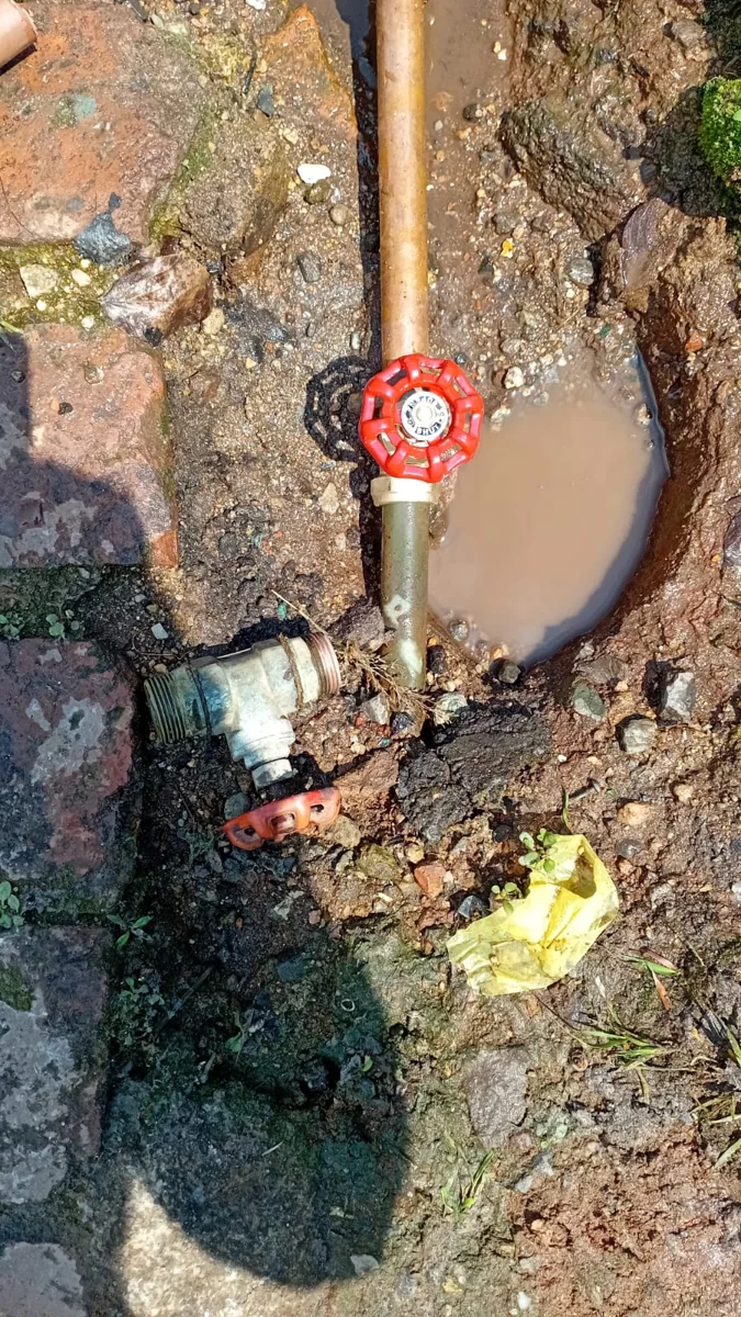Leaking gate valve replaced at an outdoor water line for a Bordeaux client.