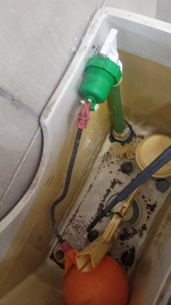 Toilet cistern inspection showing float valve and internal flushing components.