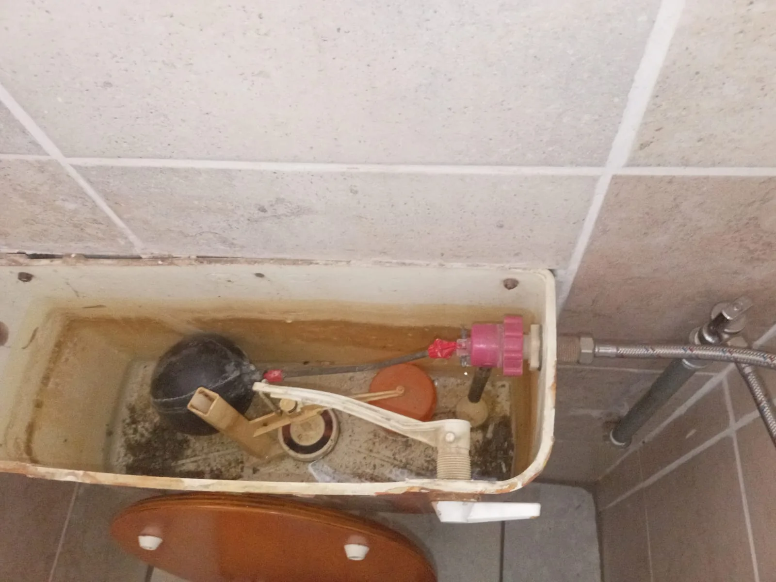 Toilet cistern repair in Ferndale after a leaking beta valve caused constant water loss.