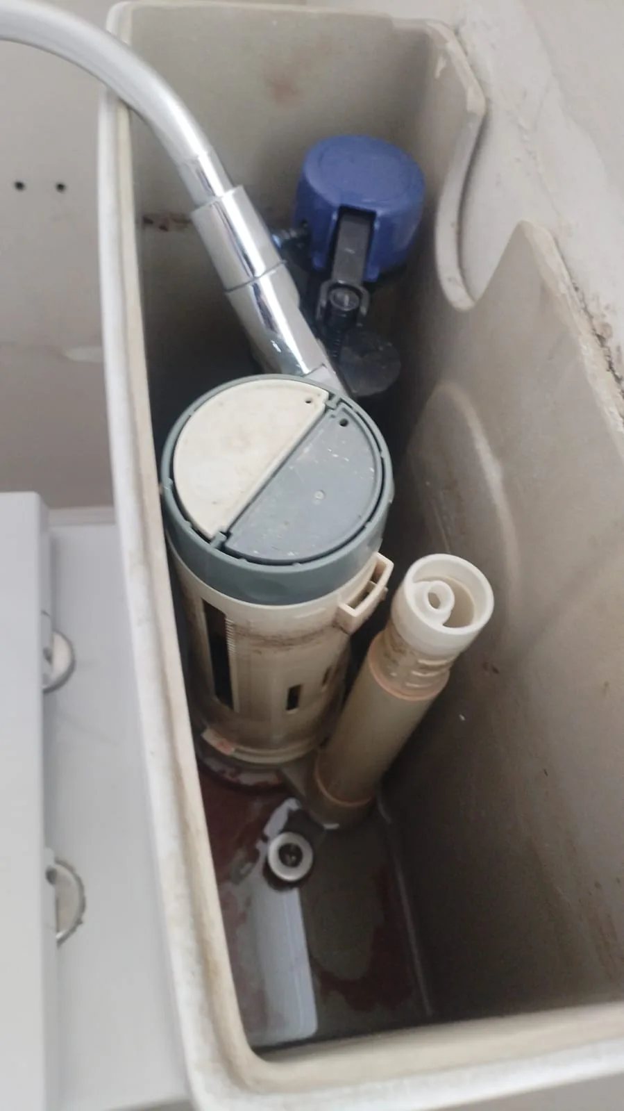 Leaking toilet repair completed in a Ferndale flat where the occupants had only one toilet.