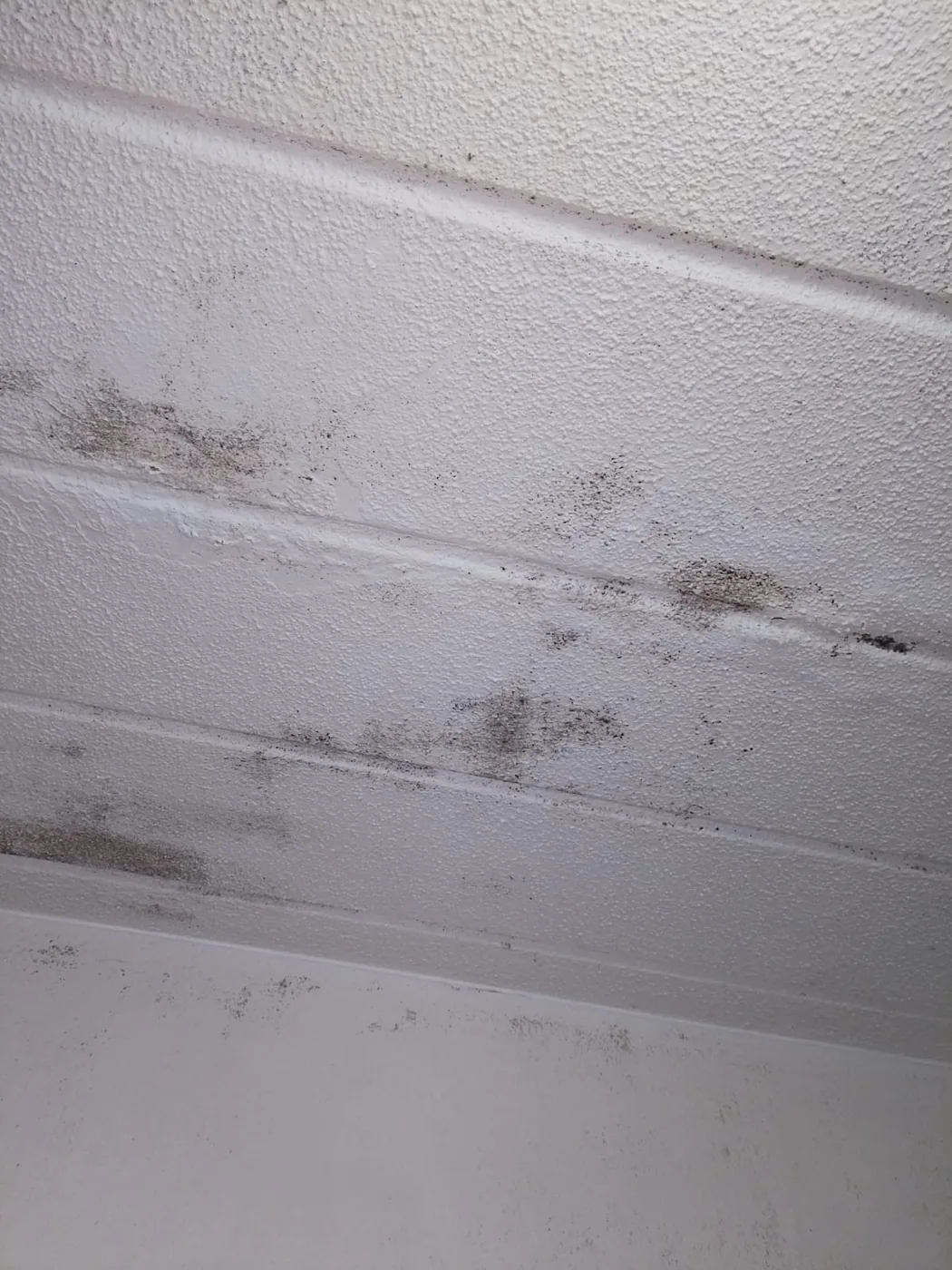 Northcliff upstairs shower pipe leak causing damp damage below
