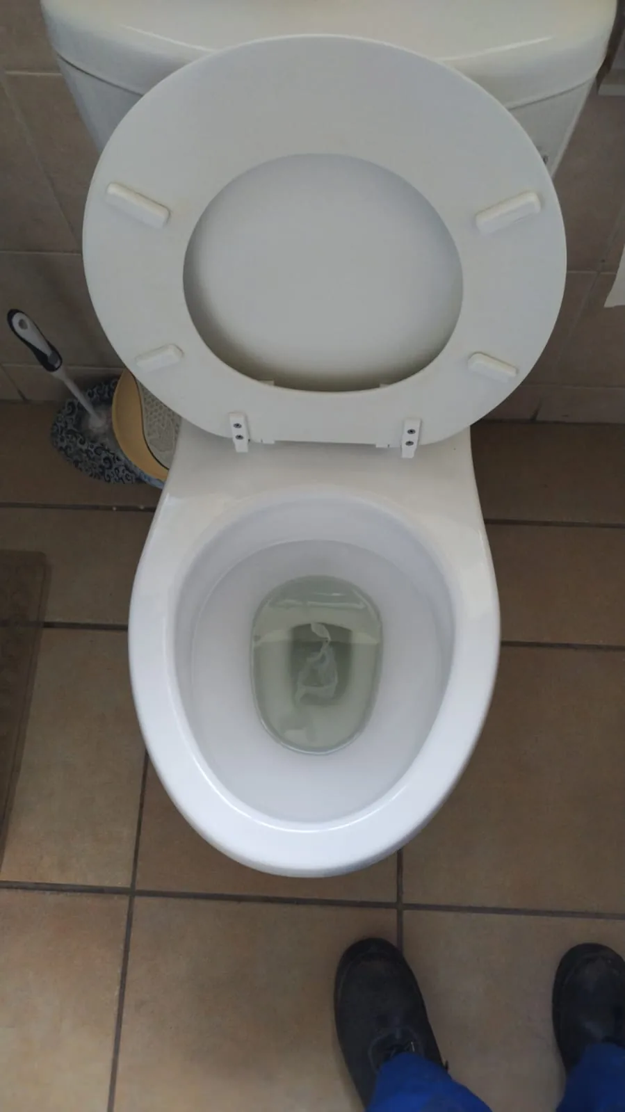 Clean toilet pan inspection as part of general Randburg plumbing services.