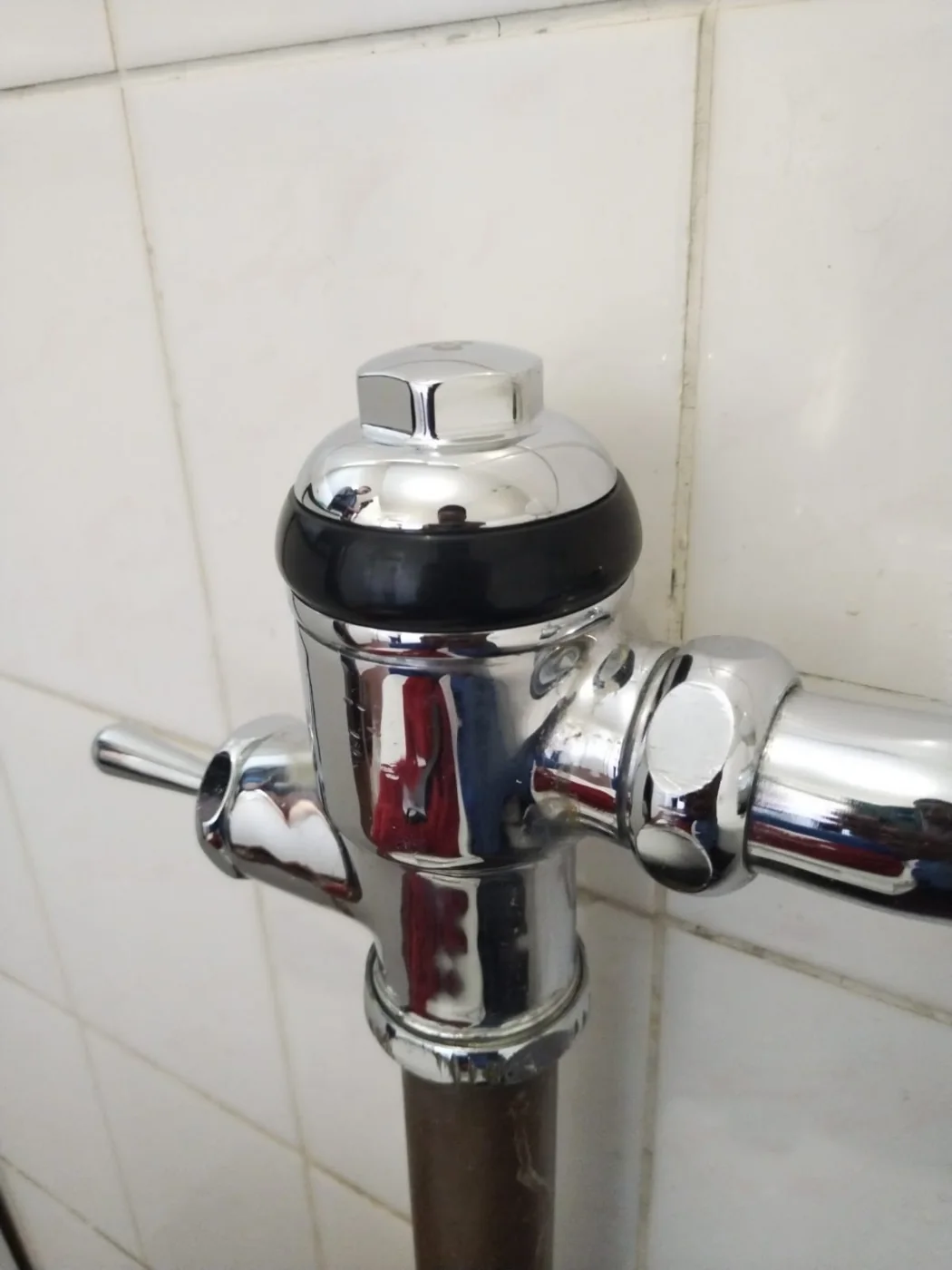 Flush master valve replaced on a commercial urinal or toilet system in Bromhof.