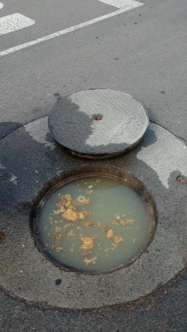 Municipal sewer manhole with blocked water showing a public-side drainage issue near Bromhof.